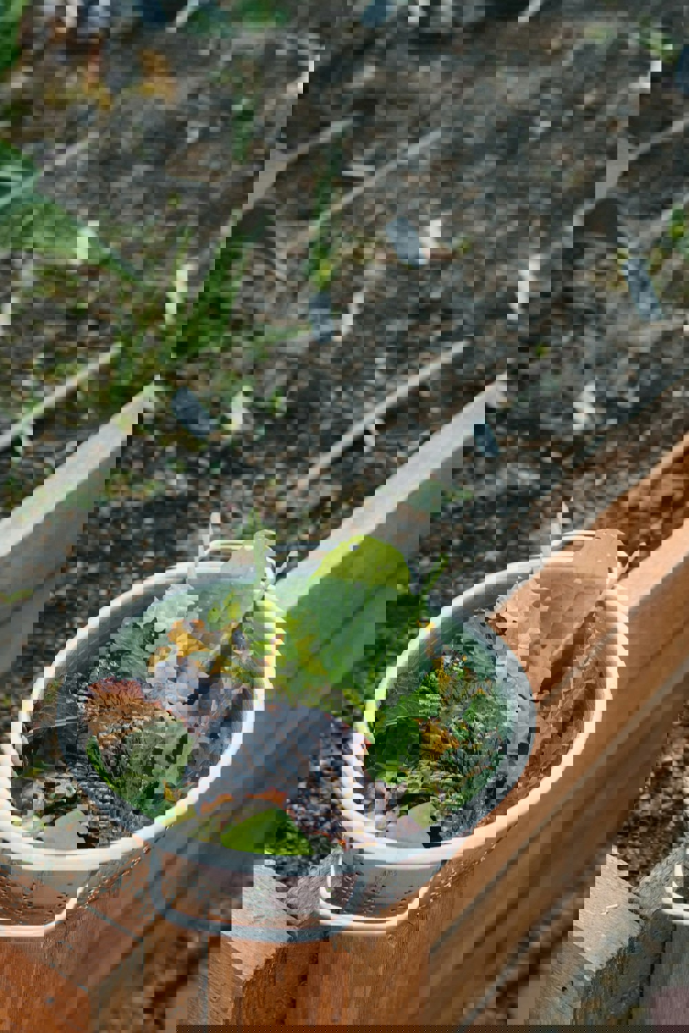 Meg Macdonald 9 Dg6qvgeem Unsplash (1)