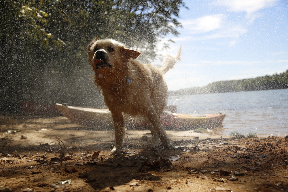 Lake James 2016 (2) (1) Lake James 2016 (2) (1)