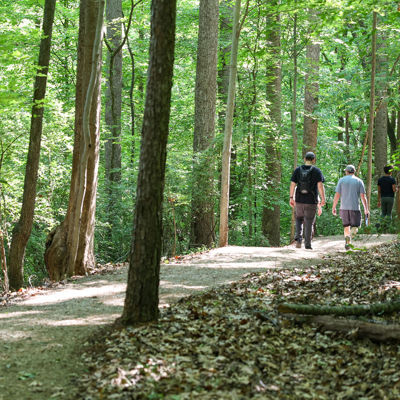 NETWORK OF TRAILS
