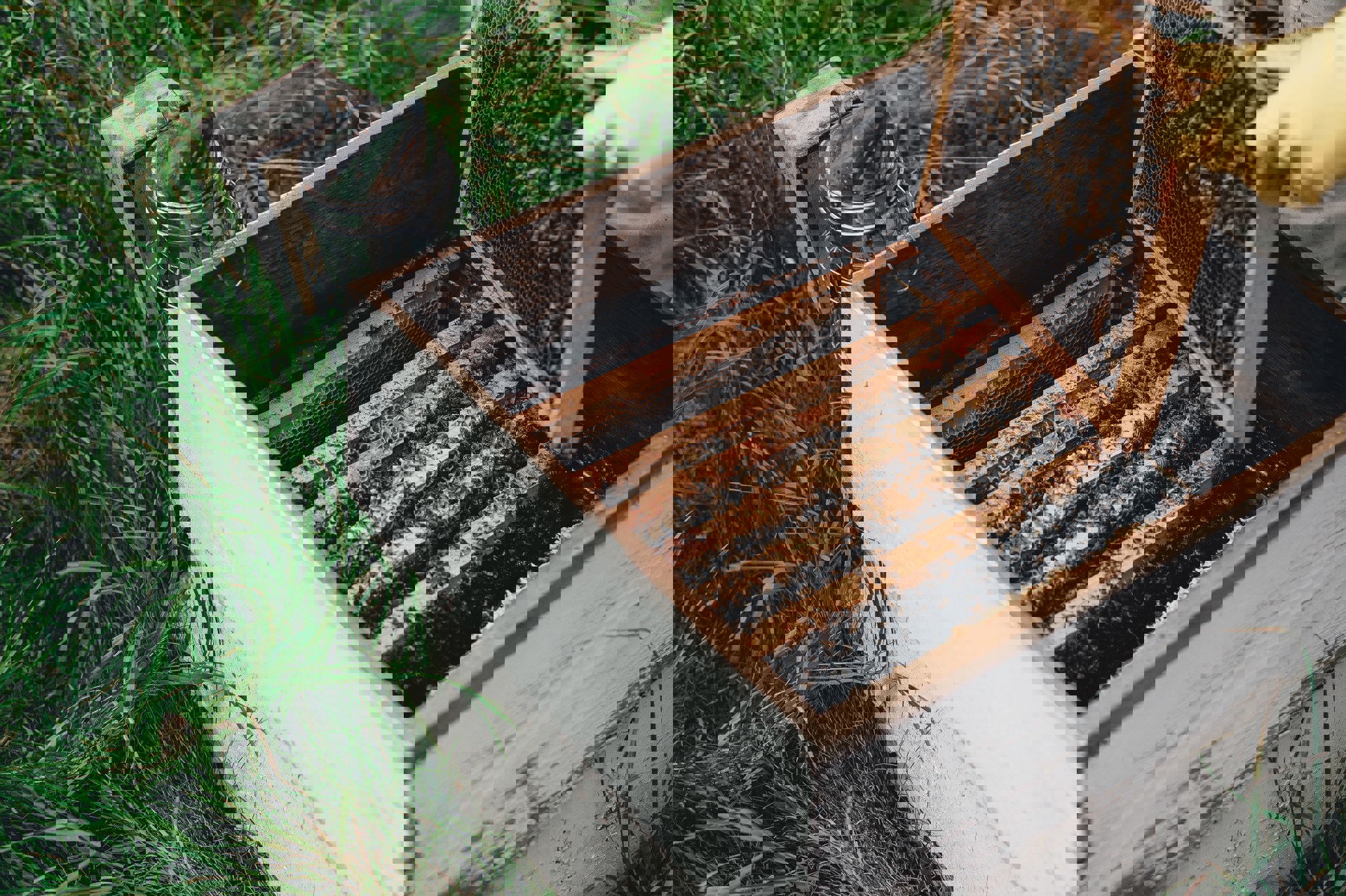 Annie Spratt Xltep0u29l4 Unsplash