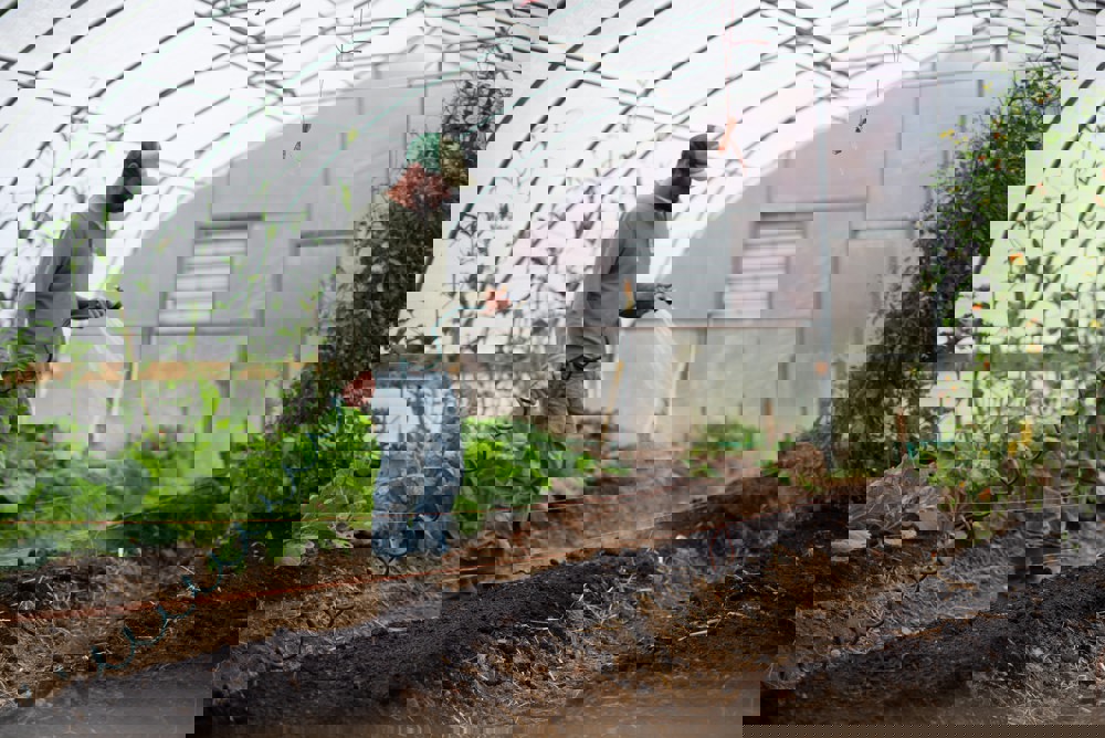 Zoe Schaeffer Sid6uufcyt8 Unsplash