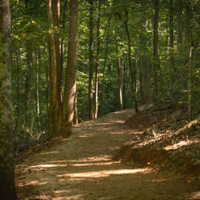 NETWORK OF TRAILS